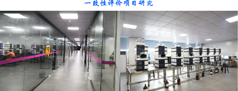 一致性評價項目研究.png 一致性評價項目研究.png