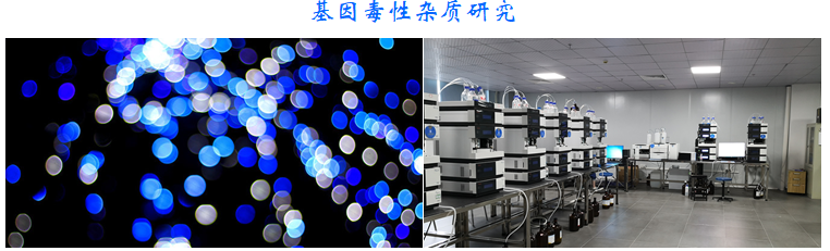 基因毒性雜質(zhì)研究.png 基因毒性雜質(zhì)研究.png