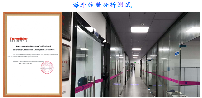 海外注冊分析測試.png 海外注冊分析測試.png